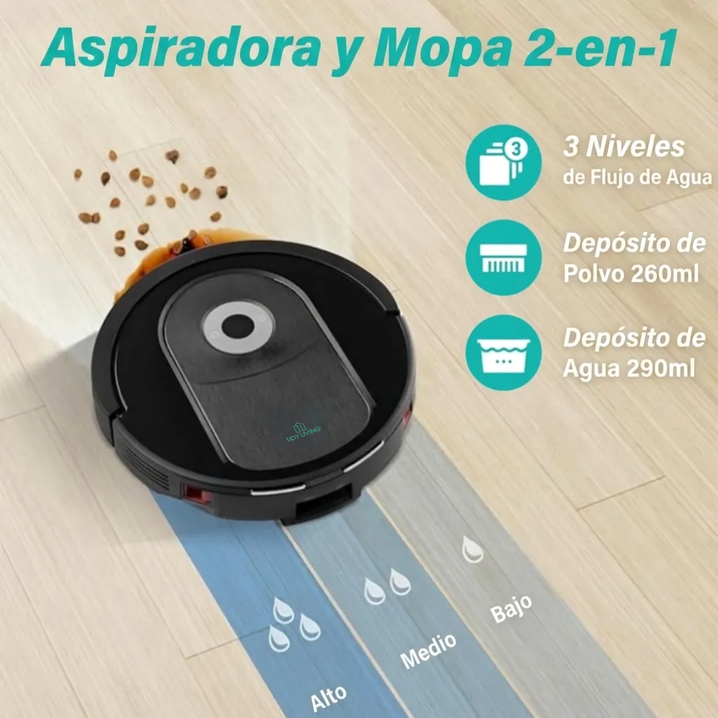 30.webp