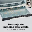 12.webp