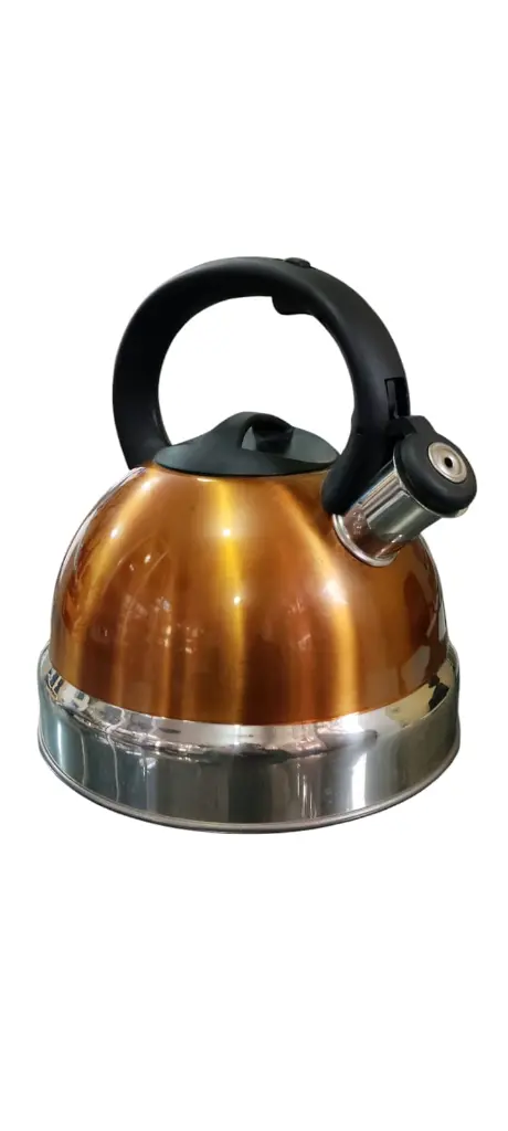 WhatsApp Image 2025-01-30 at 8.43.28 AM (1).webp