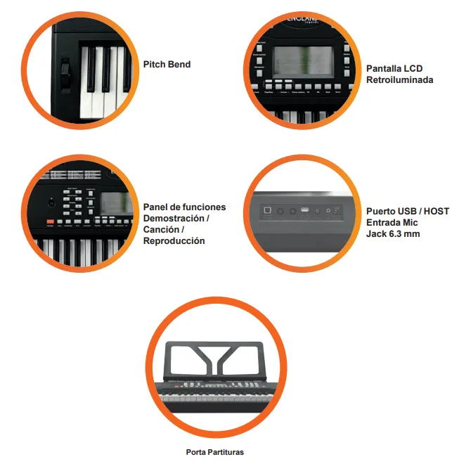 Captura de pantalla 2026-01-20 175108.webp