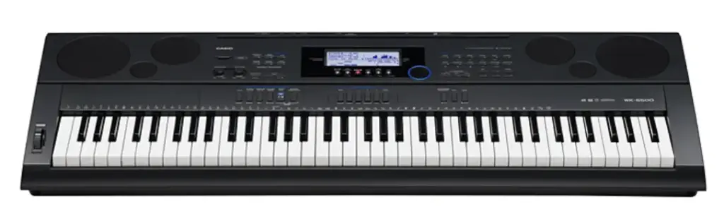 Órgano CASIO WK-6500 