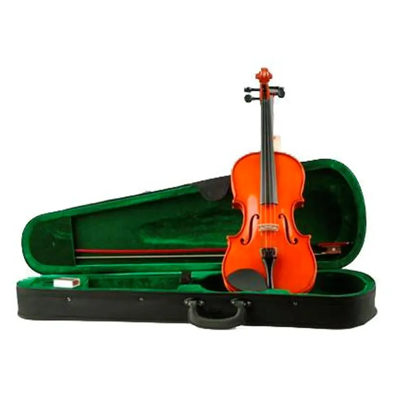 Violín Parrot 4/4 con estuche y cera