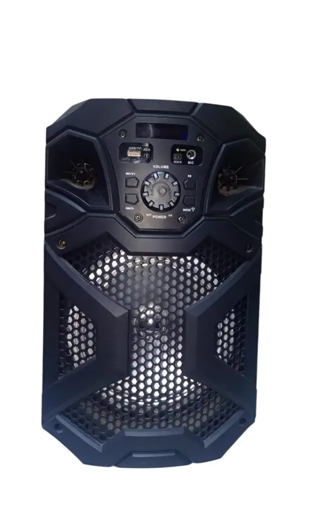 Parlante recargable 8" D-801