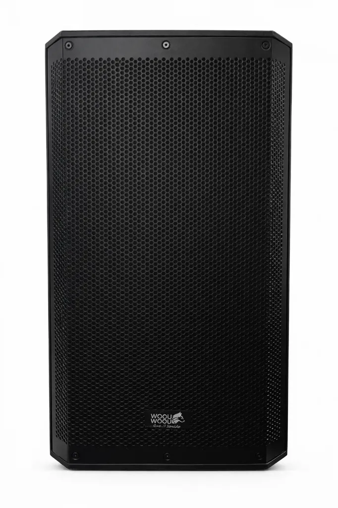 Parlante amplificado 15" Woou Woou W3078