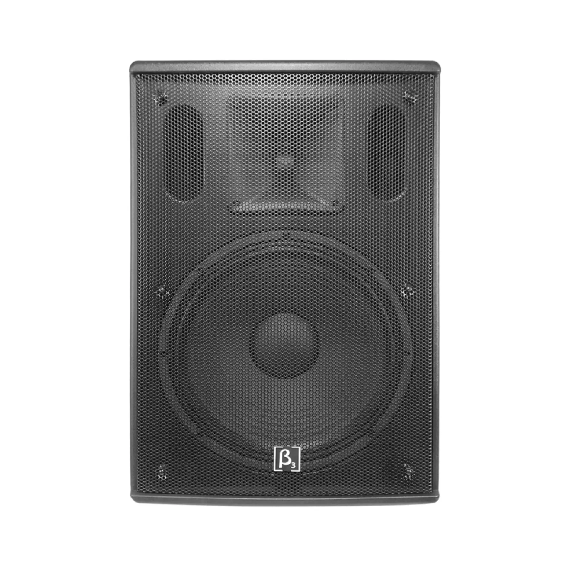 Parlante 15" Beta 3 Amplificada N15A/MP3