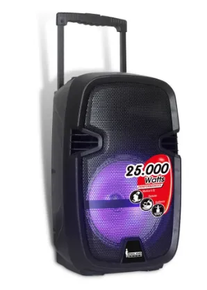 Parlante ENGLAND SOUND ES-EPIC CX10 Bat 25000W