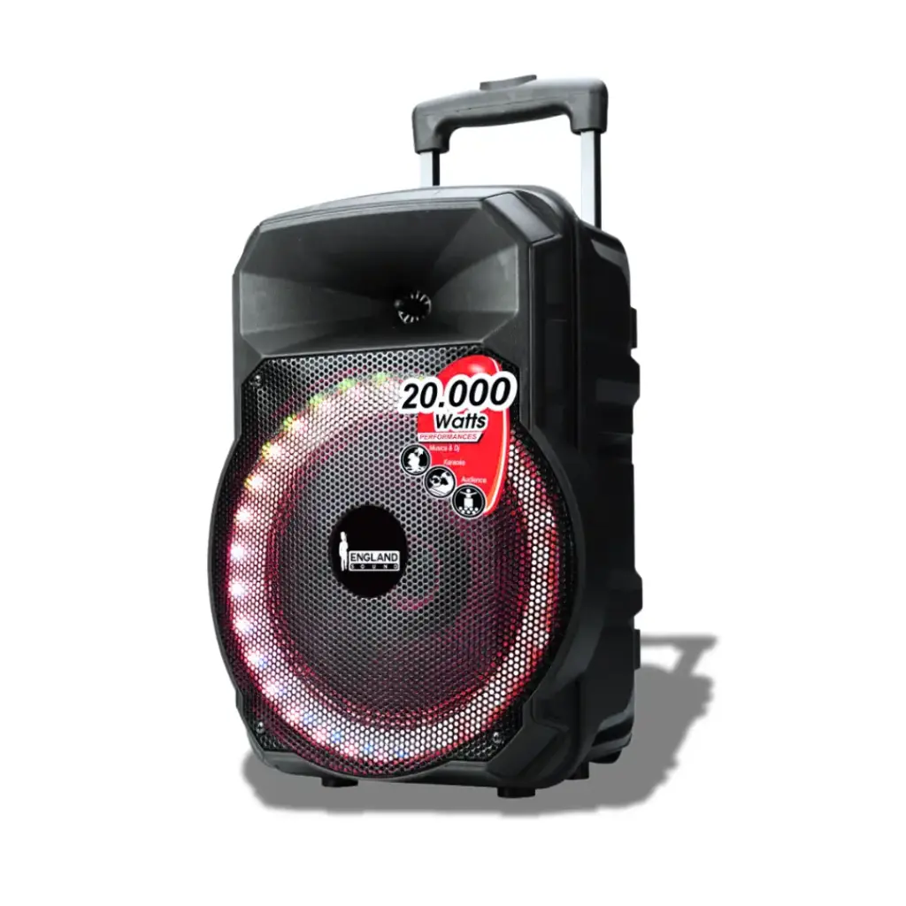 Parlante ENGLAND SOUND ES-RHYTHMIC10 de 20000W