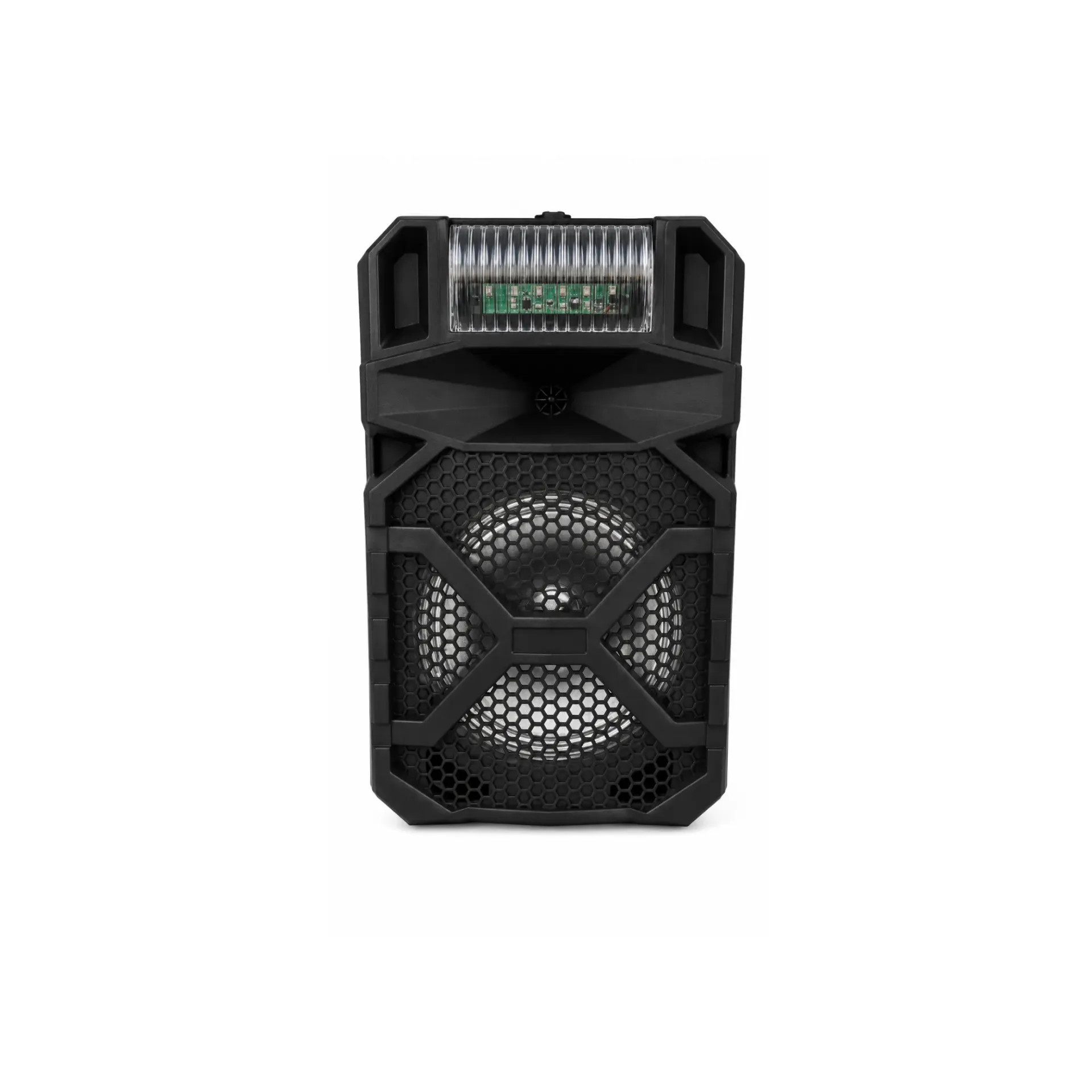 Parlante recargable 8" D808