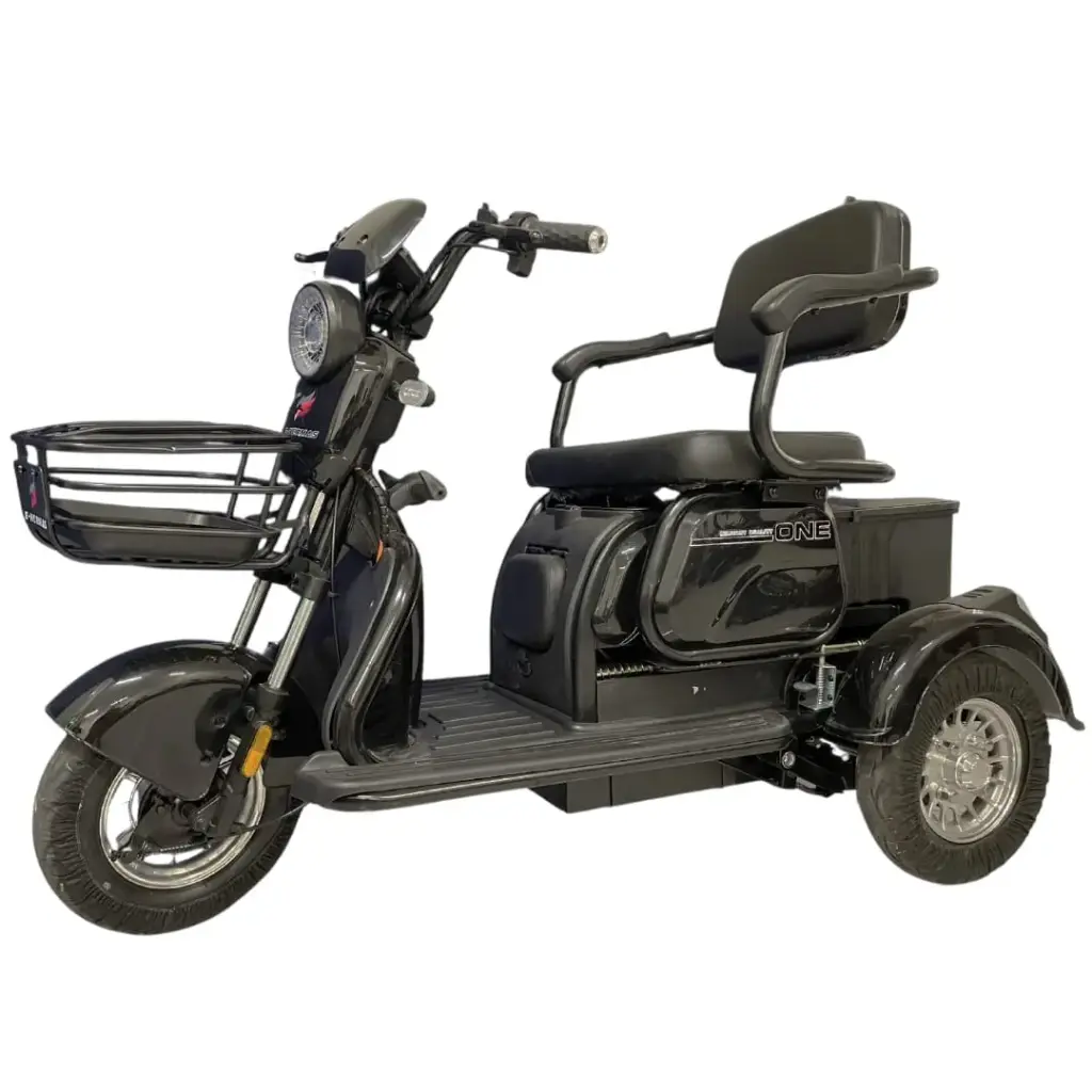 Tricimoto eléctrica GINHAI 500w