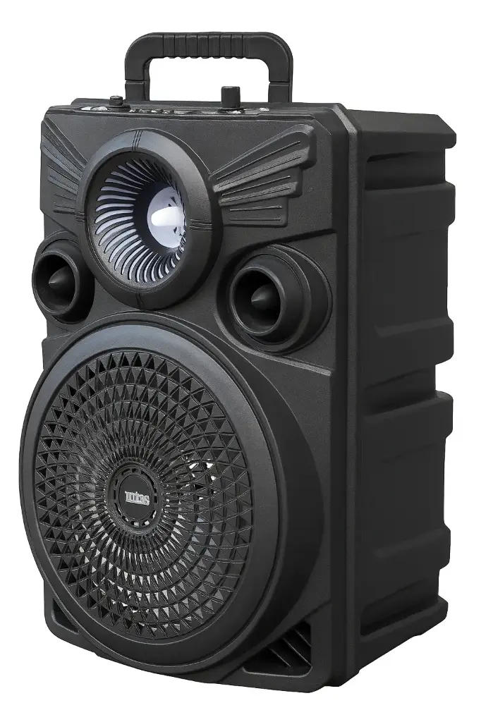 Parlante recargable 8" MTX 885