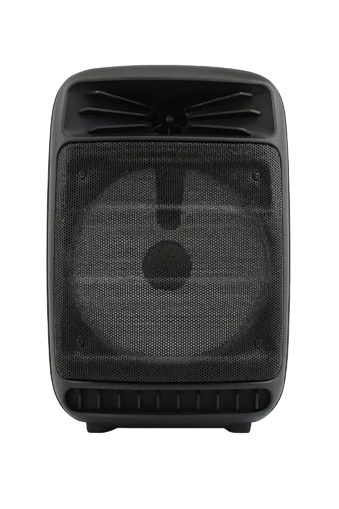 Parlante recargable 6" AIWA IW-5387