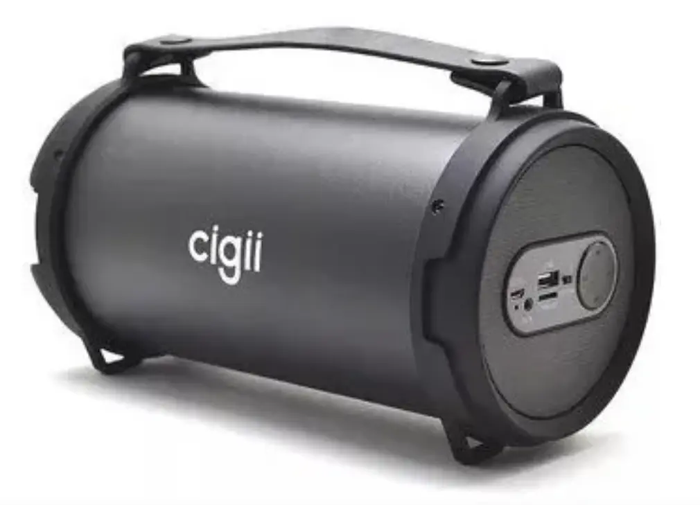 Parlante Cigii S22B