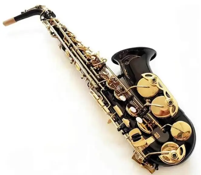 Saxofón alto General Tech negro con dorado