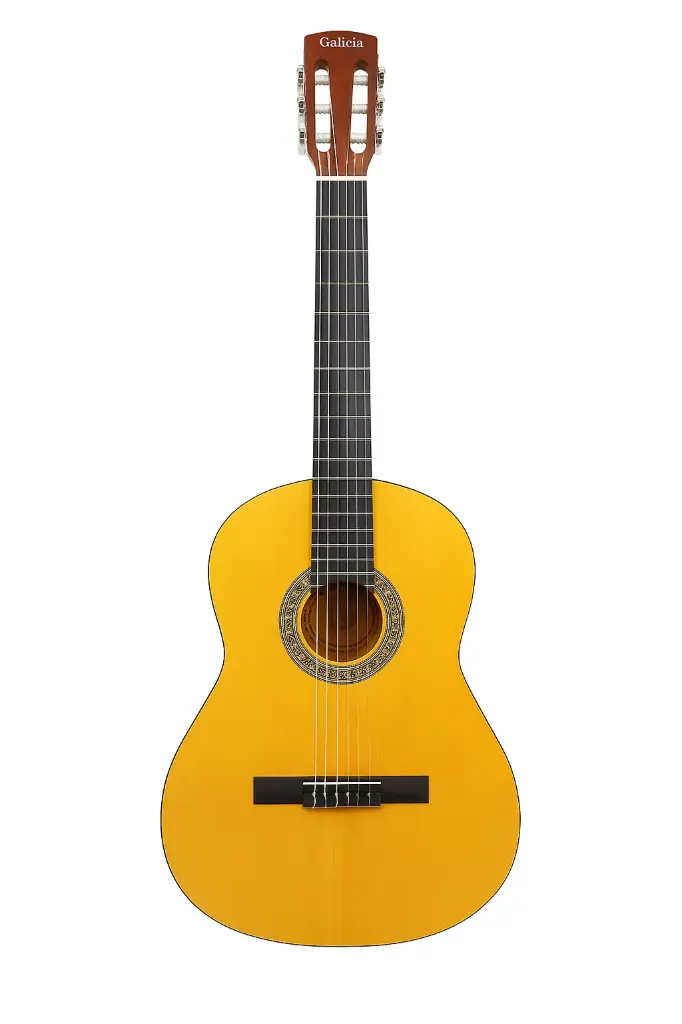 Guitarra Galicia tamaño estándar con cuerdas de metal