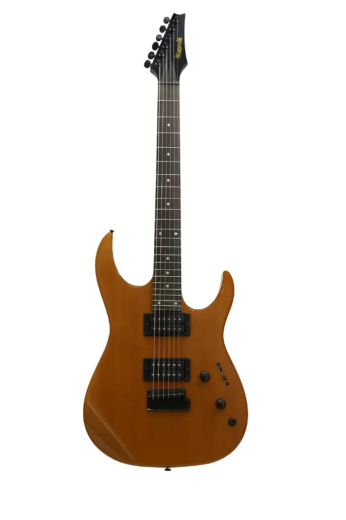 Guitarra eléctrica CSBINY