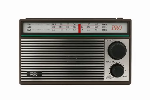 Radio Woou-RA82