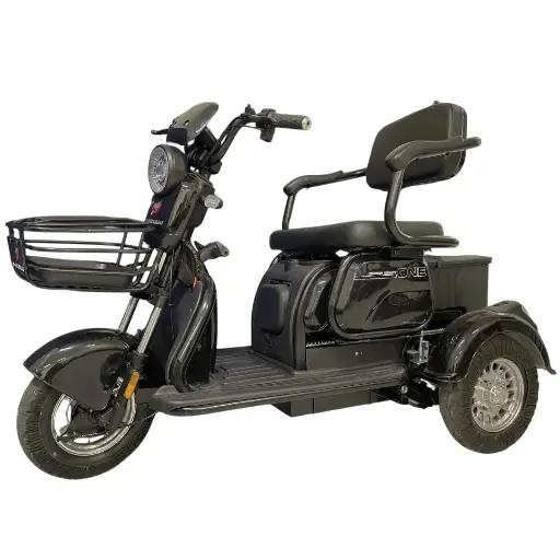 Tricimoto eléctrica GINHAI 500w