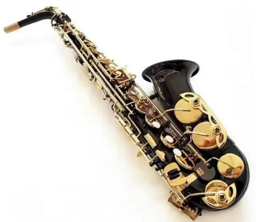 Saxofón alto General Tech negro con dorado