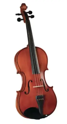 Viola