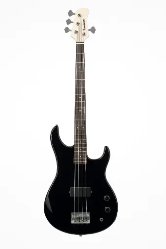 Bajo PALMER de 5 cuerdas PB5-MNB